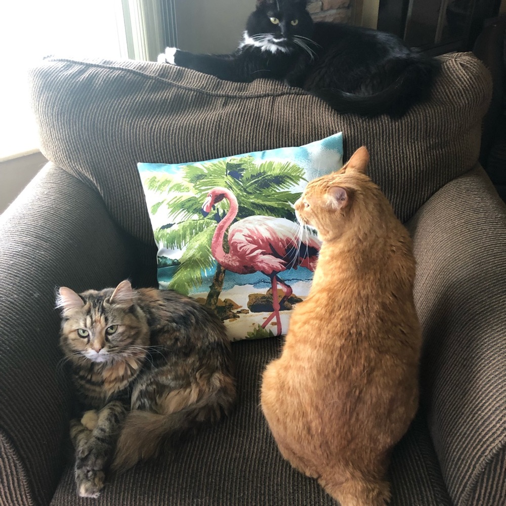 Meet your Posher, Mary